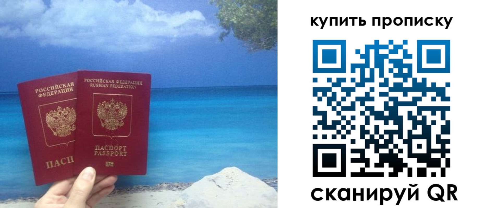 прописка законно в Бердске